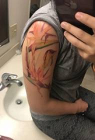 Növényi tetoválás lány nagy karja a színes Strelitzia tetoválás képe