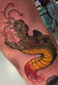 Comb iskola törött kígyó tetoválás minta