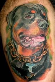 Patrón de tatuaxe de Rottweiler en cor