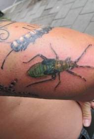 Modeli i tatuazhit të gjelbërt me insekte në krahun e madh