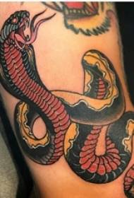 Coscia maschile tatuata di Viper nantu à una stampa tatuata di serpente colorata