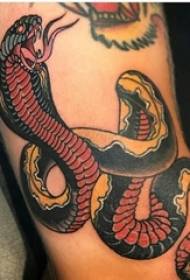 Tatu viper tatu paha lelaki pada gambar tatu ular berwarna