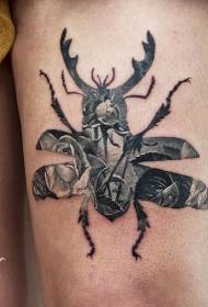 Scáthchruth ciaróg dubh le patrún tattoo ardaigh