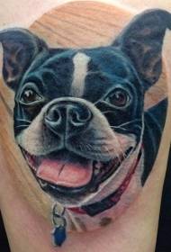 Labai tikroviškas juokingas šuo \\ u200b \\ u200bcolor portreto tatuiruotės modelis