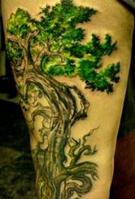 Been kleur mooie bonsai boom tattoo patroon