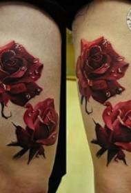 Scuole di scola dipinta à l'aquarellu 3d belli ritratti di tatuaggi di rosa rossa