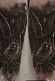 Culle di scolara nantu à schizzi neri grigiu super realistichi 3d tattoo tattoo rabbit