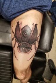 Jongens dijen op zwart grijs schets prikken tips creatieve insect tattoo foto's