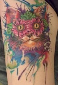 Zvidya zvevasikana zvakapendwa mvuracolor splash yakanaka fox tattoo mifananidzo