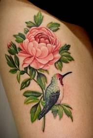 lule e gjelbër rozë me kofshë me model tatuazhi Kingfisher