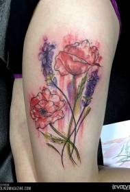 Kruro akvarela stilo popmovoj tatuaje ŝablono