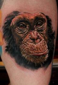 Model de tatuaj cimpanzeu colorat cu coapse