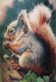 Ben fotorealistisk farve stort egern tatoveringsmønster