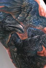 Noha realistické vrána tetování vzor