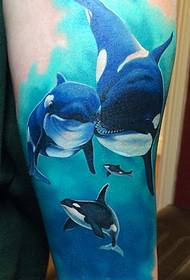 Modello di tatuaggio squalo color braccio