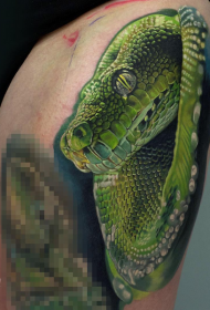 Modello realistico del tatuaggio del serpente verde di colore realistico delle gambe