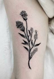 Kobiece nogi na czarnej linii szkic literacki obraz tatuaż piękny kwiat
