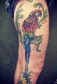 Augšstilbi, papagailis, krāsains tetovējums