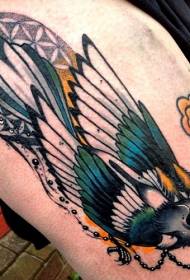 Patrón de tatuaxe de paxaro bonito colorado da escola nova