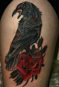 Leg staré školské farebné vrana s ružovým tetovaním