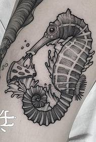 Thigh Europe i Sjedinjene Države ukazuju na uzorak tetovaže sira od morskog konja