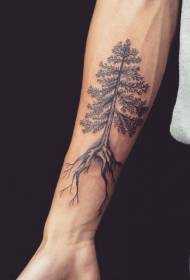 Mwanaume mkono kweli kijivu pine tattoo mfano