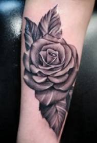 Tattoo ვარდების გოგონას მკლავი შავი ნაცრისფერი ვარდისფერი tattoo სურათზე