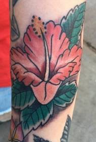 Käsivarren väri vanhan koulun tyylin hibiscus-tatuointikuvio