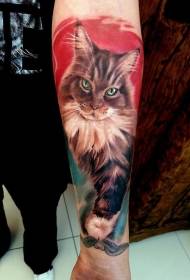小臂華麗逼真的貓肖像紋身圖案