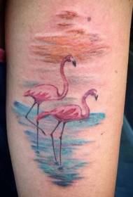 Braccio modello di tatuaggio di coppia di fenicotteri di colore fatto in casa
