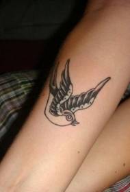 kvinnelig arm, svart og hvitt, svelge tatoveringsmønster