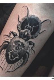 Padrão de tatuagem de besouro preto escuro europeu e americano de braço pequeno