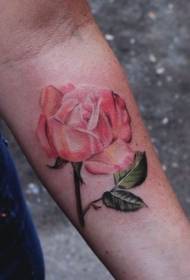 यथार्थवादी गुलाबी हात सह टॅटू नमुना गुलाब