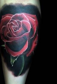 Realistico modello tatuaggio rosa rossa con le braccia