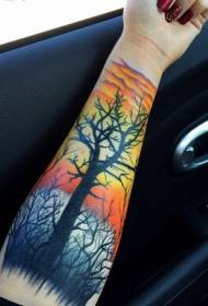 Braço colorido bela árvore preta e padrão de tatuagem por do sol