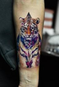 Шарене велике тиграсте тетоваже у реалистичном стилу руке