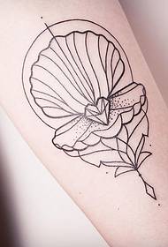 Mali krak, mala svježa linija, dijamant tetovaža uzorak školjke