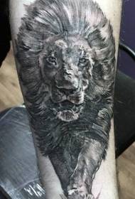 Arm nhema grey hombe chifananidzo shumba tattoo maitiro