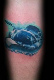 Gleznots zemūdens pasaules kalmāru krāsots tetovējuma raksts