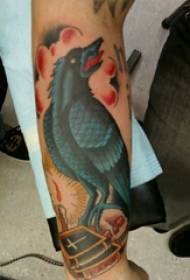 Tattoo zog, krah djali, foto pikturuar tatuazh zogu