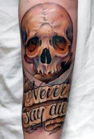 Cráneo realista de cor brazo con tatuaxe inglés