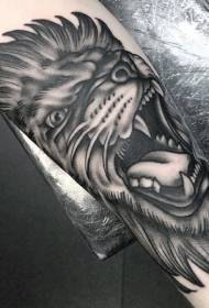 Patrón de tatuaxe tradicional de león aullendo moderno gris negro brazo