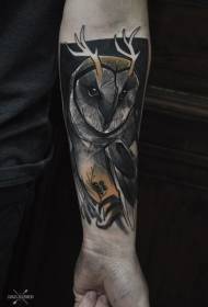 Immagine del tatuaggio del gufo di stile di schizzo di colore del braccio