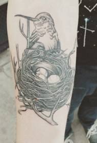 Der Arm des Tätowierungsvogelmädchens auf schwarzem grauem Vogeltätowierungsbild