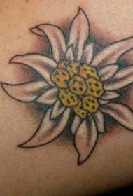 modello bellissimo tatuaggio piccolo braccio camomilla meravigliosamente bello