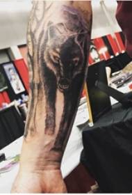 Ръката на момчето за татуировка на вълк върху черно сива татуировка на вълк