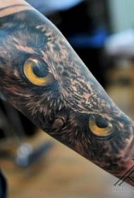 Arm realistinen realistinen tyyli pöllö tatuointi