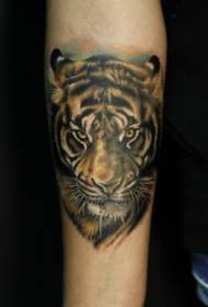Színes tigris tetoválás kar reális stílusban