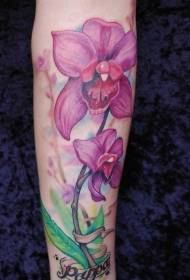Колір руки реалістичні візерунок татуювання орхідеї
