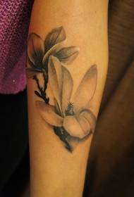Náttúrulegt raunhæft svart og hvítt magnolia húðflúrmynstur